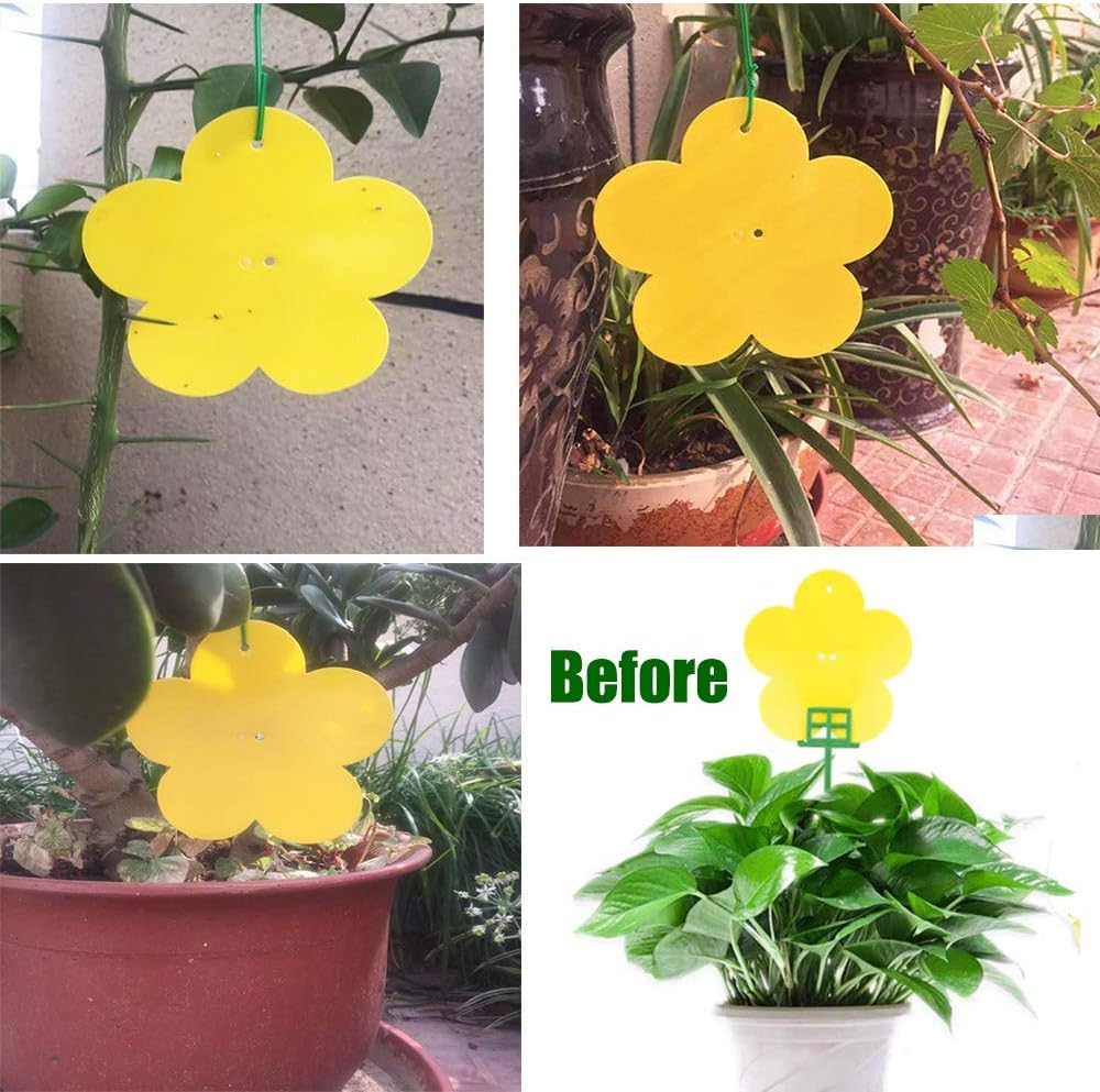 24 Pack Dual Yellow Sticky Traps in Flower Shaped for Flying Plant Insect Like