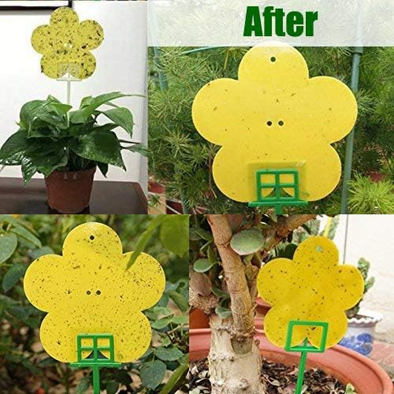 24 Pack Dual Yellow Sticky Traps in Flower Shaped for Flying Plant Insect Like