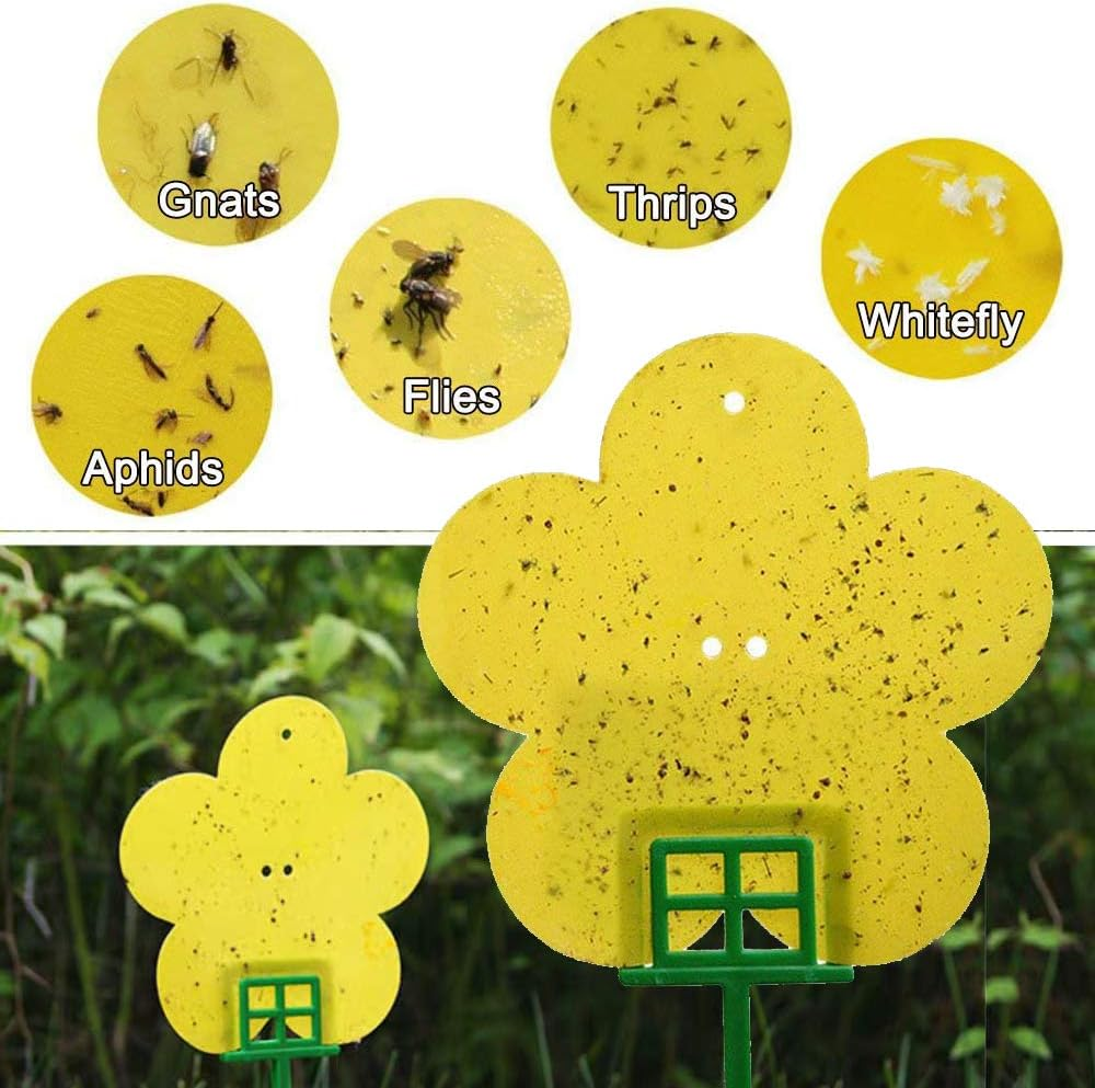 24 Pack Dual Yellow Sticky Traps in Flower Shaped for Flying Plant Insect Like