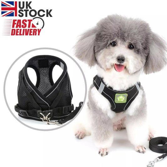 Harness Cat Vest Leash Dog Pet Adjustable Walking Escape Proof and Mesh  S size