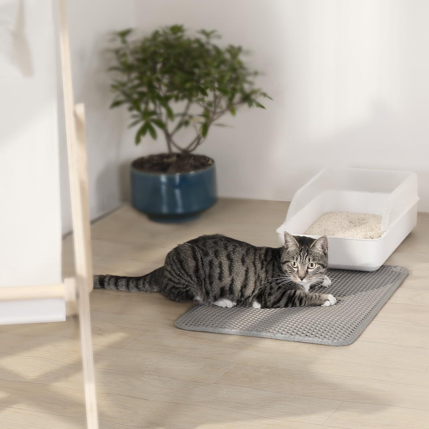 Double-Layer Cat Litter Tray Mat Waterproof Clean Pet 60x40cm